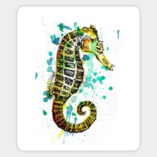 Seahorse image Magnet